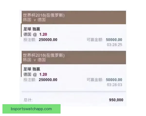 世界杯竞猜赔率平台全方位解析助您精准预测赛事结果提升投注体验